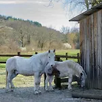 Nature - Montagne Bourbonnaise - Apartman *