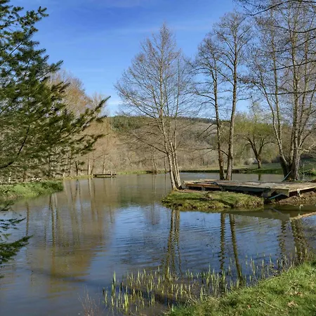 Nature - Montagne Bourbonnaise -